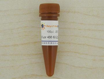 Alexa Fluor 488标记山羊抗兔IgG(H+L)